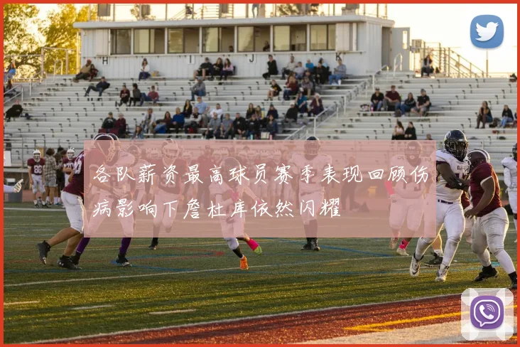 各队薪资最高球员赛季表现回顾伤病影响下詹杜库依然闪耀